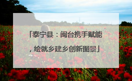 泰宁县：闽台携手赋能，绘就乡建乡创新图景