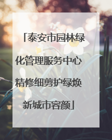 泰安市园林绿化管理服务中心精修细剪护绿焕新城市容颜