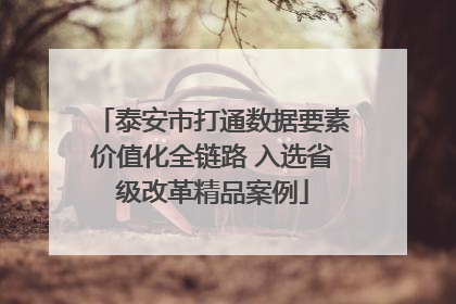 泰安市打通数据要素价值化全链路 入选省级改革精品案例