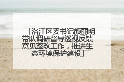 洛江区委书记颜丽明带队调研督导巡视反馈意见整改工作，推进生态环境保护建设