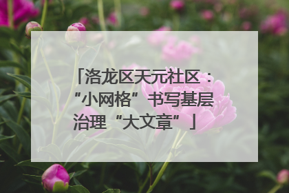 洛龙区天元社区：“小网格”书写基层治理“大文章”