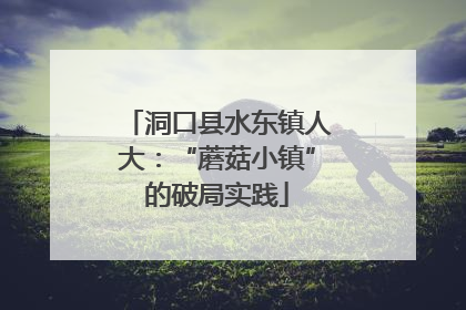 洞口县水东镇人大：“蘑菇小镇”的破局实践
