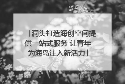 洞头打造海创空间提供一站式服务 让青年为海岛注入新活力