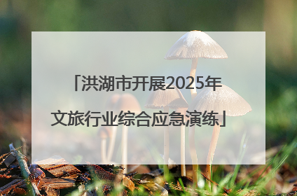 洪湖市开展2025年文旅行业综合应急演练