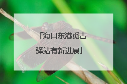 海口东港觅古驿站有新进展