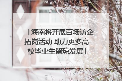 海南将开展百场访企拓岗活动 助力更多高校毕业生留琼发展