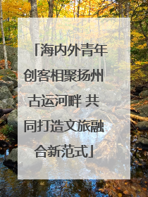 海内外青年创客相聚扬州古运河畔 共同打造文旅融合新范式