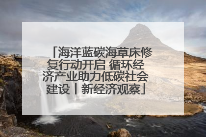 海洋蓝碳海草床修复行动开启 循环经济产业助力低碳社会建设丨新经济观察