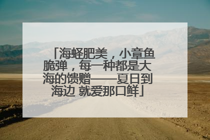 海蛏肥美，小章鱼脆弹，每一种都是大海的馈赠——夏日到海边 就爱那口鲜