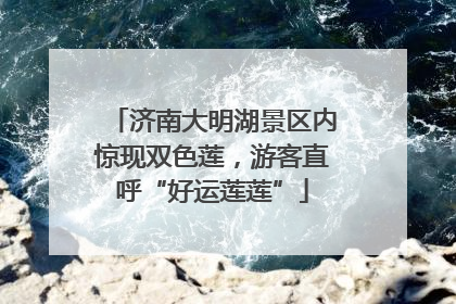 济南大明湖景区内惊现双色莲，游客直呼“好运莲莲”