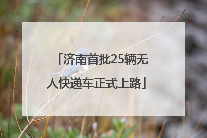 济南首批25辆无人快递车正式上路