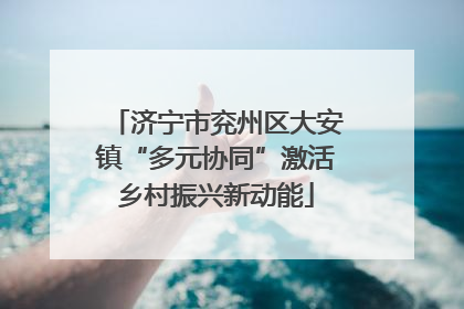 济宁市兖州区大安镇“多元协同”激活乡村振兴新动能
