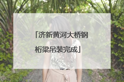 济新黄河大桥钢桁梁吊装完成