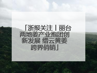 浙报关注丨丽台两地姜产业抱团创新发展 缙云黄姜跨界俏销