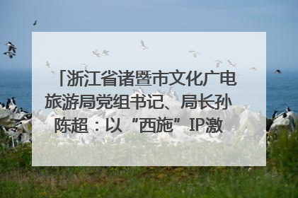 浙江省诸暨市文化广电旅游局党组书记、局长孙陈超：以“西施”IP激活全域旅游 打造县域文旅融合新标杆｜第七届全国县域旅游研究成果发布系列活动