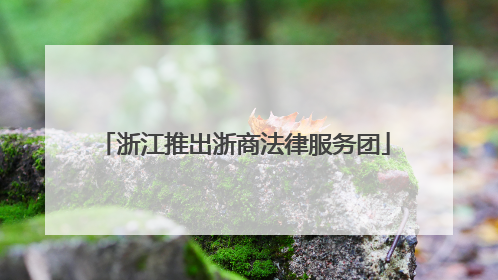 浙江推出浙商法律服务团