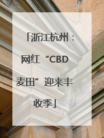 浙江杭州：网红“CBD麦田”迎来丰收季