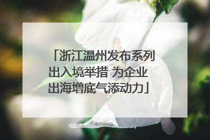 浙江温州发布系列出入境举措 为企业出海增底气添动力