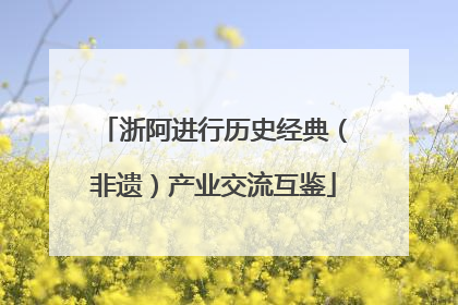 浙阿进行历史经典（非遗）产业交流互鉴