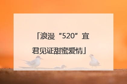 浪漫“520”宜君见证甜蜜爱情