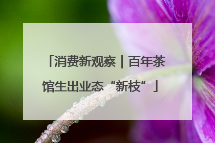 消费新观察｜百年茶馆生出业态“新枝”