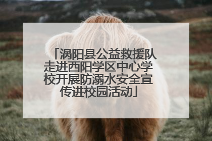 涡阳县公益救援队走进西阳学区中心学校开展防溺水安全宣传进校园活动