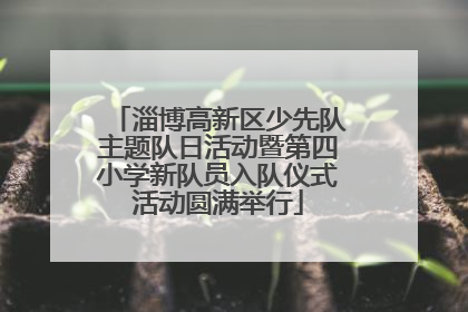 淄博高新区少先队主题队日活动暨第四小学新队员入队仪式活动圆满举行