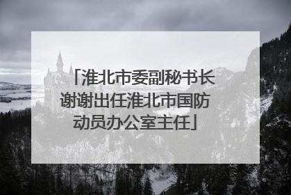 淮北市委副秘书长谢谢出任淮北市国防动员办公室主任