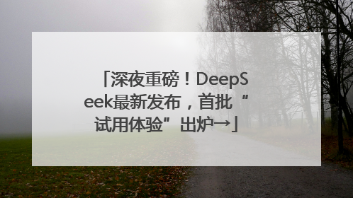 深夜重磅！DeepSeek最新发布，首批“试用体验”出炉→