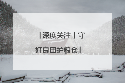 深度关注丨守好良田护粮仓