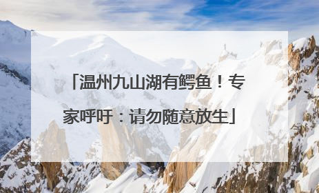 温州九山湖有鳄鱼！专家呼吁：请勿随意放生