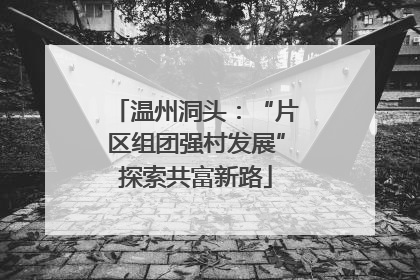 温州洞头：“片区组团强村发展”探索共富新路