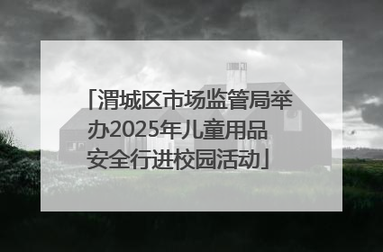 渭城区市场监管局举办2025年儿童用品安全行进校园活动