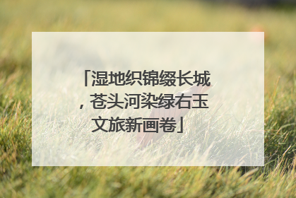 湿地织锦缀长城，苍头河染绿右玉文旅新画卷