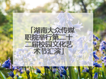 湖南大众传媒职院举行第二十二届校园文化艺术节汇演