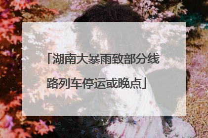 湖南大暴雨致部分线路列车停运或晚点