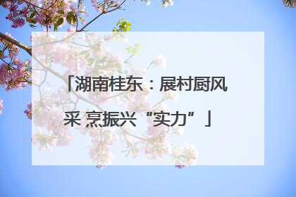 湖南桂东：展村厨风采 烹振兴“实力”