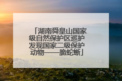 湖南舜皇山国家级自然保护区巡护发现国家二级保护动物——脆蛇蜥