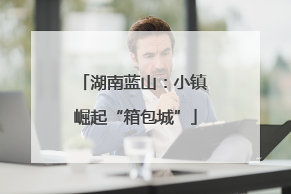 湖南蓝山：小镇崛起“箱包城”