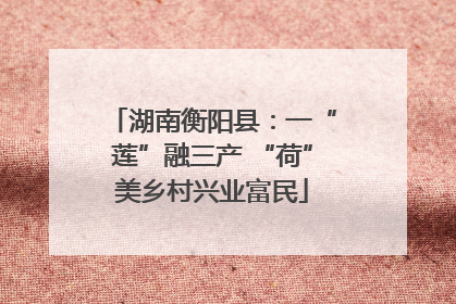 湖南衡阳县：一“莲”融三产 “荷”美乡村兴业富民