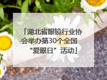 湖北省眼镜行业协会举办第30个全国“爱眼日”活动