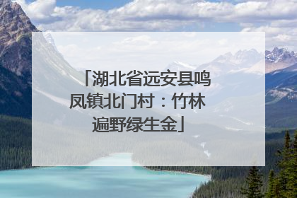 湖北省远安县鸣凤镇北门村：竹林遍野绿生金
