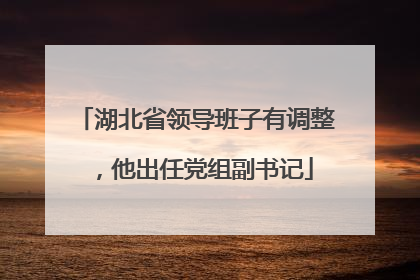 湖北省领导班子有调整，他出任党组副书记