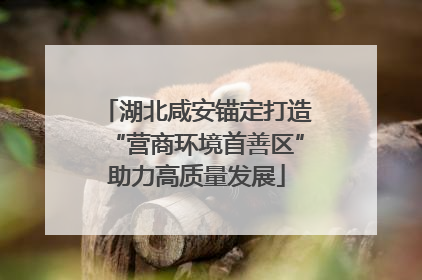 湖北咸安锚定打造“营商环境首善区”助力高质量发展