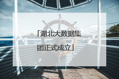 湖北大数据集团正式成立