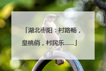 湖北枣阳：村路畅，皇桃俏，村民乐……