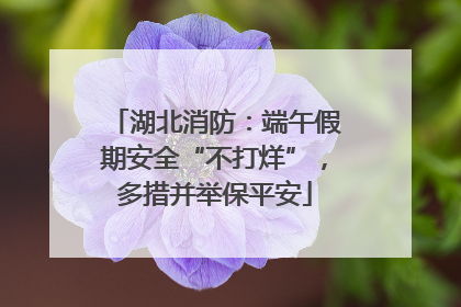 湖北消防：端午假期安全“不打烊”，多措并举保平安
