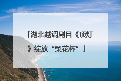 湖北越调剧目《顶灯》绽放“梨花杯”