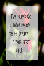 湘阴检察：赋能家庭教育 共护“向阳花”开