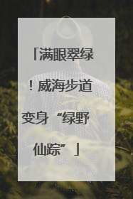 满眼翠绿！威海步道变身“绿野仙踪”